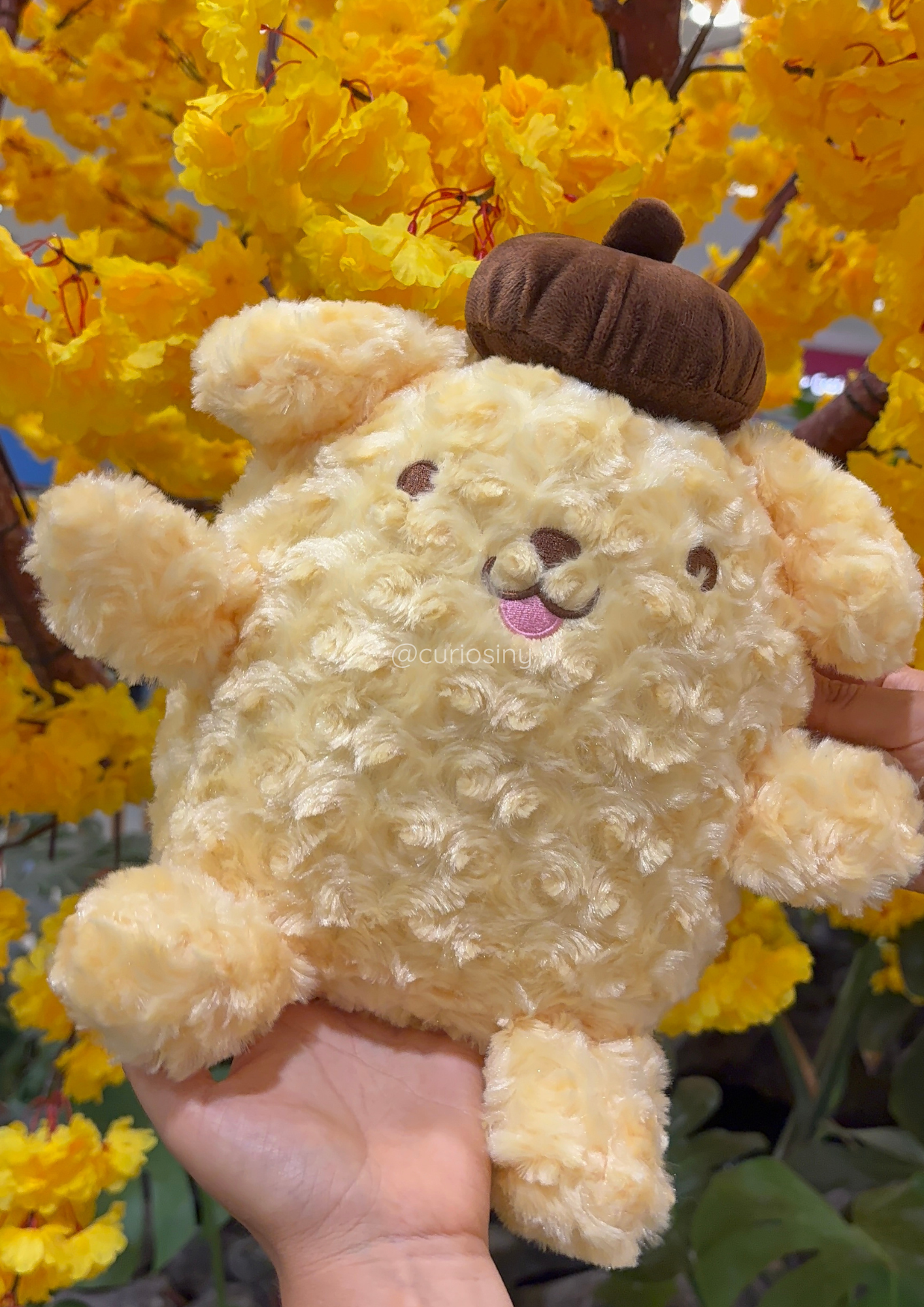 Peluche Pompompuri