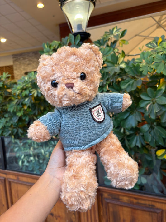 Peluche Osito Teddy