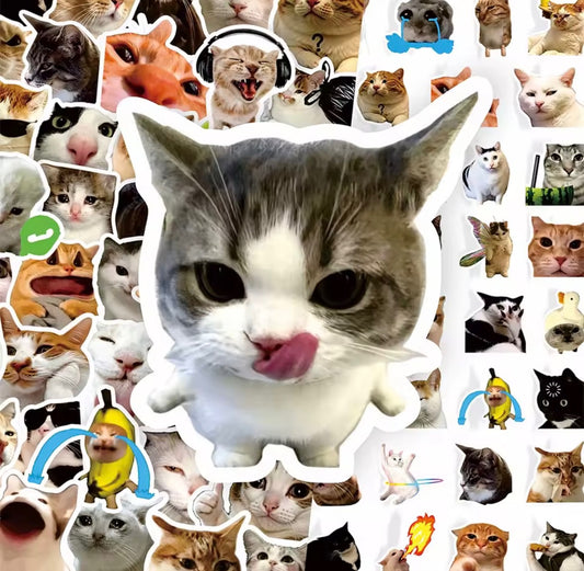 5 Stickers al azar de Gatitos