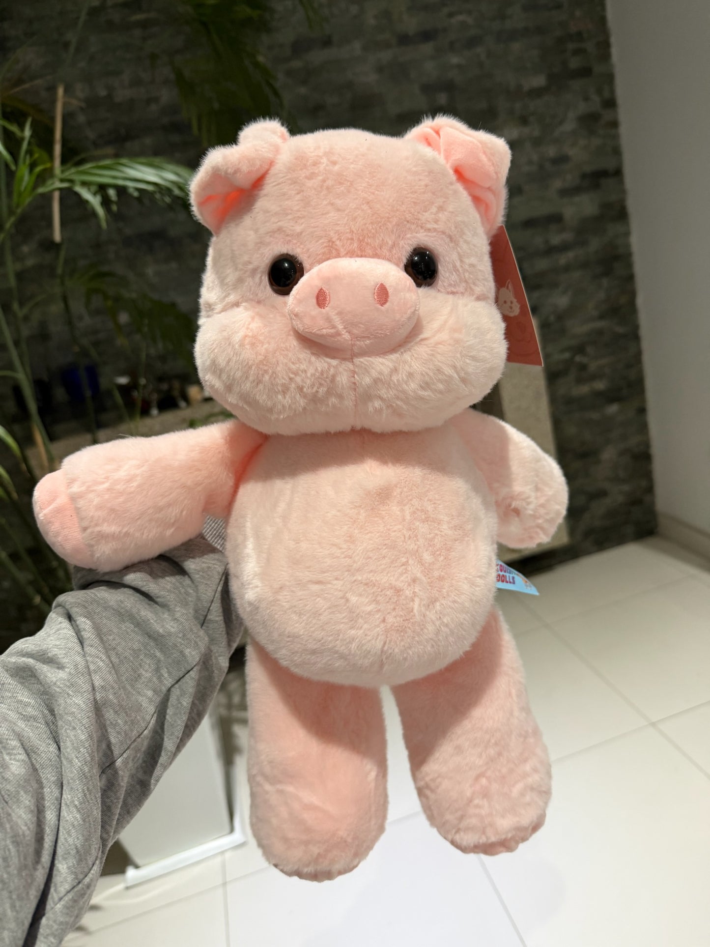 Peluche Cerdito Correlon